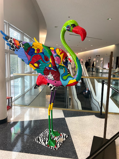 Divorce Lawyer «Abogado Divorcio$250,Bancarrota$950», reviews and photos