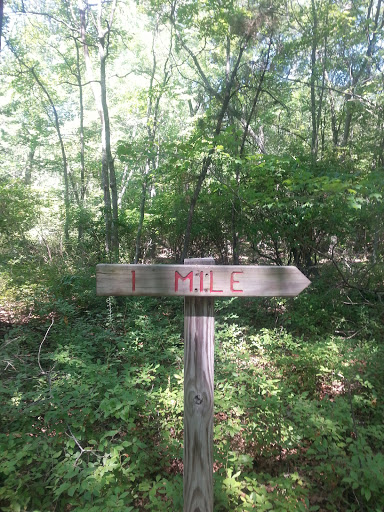 Nature Preserve «Eldora Nature Preserve», reviews and photos, 2350 NJ-47, Delmont, NJ 08314, USA