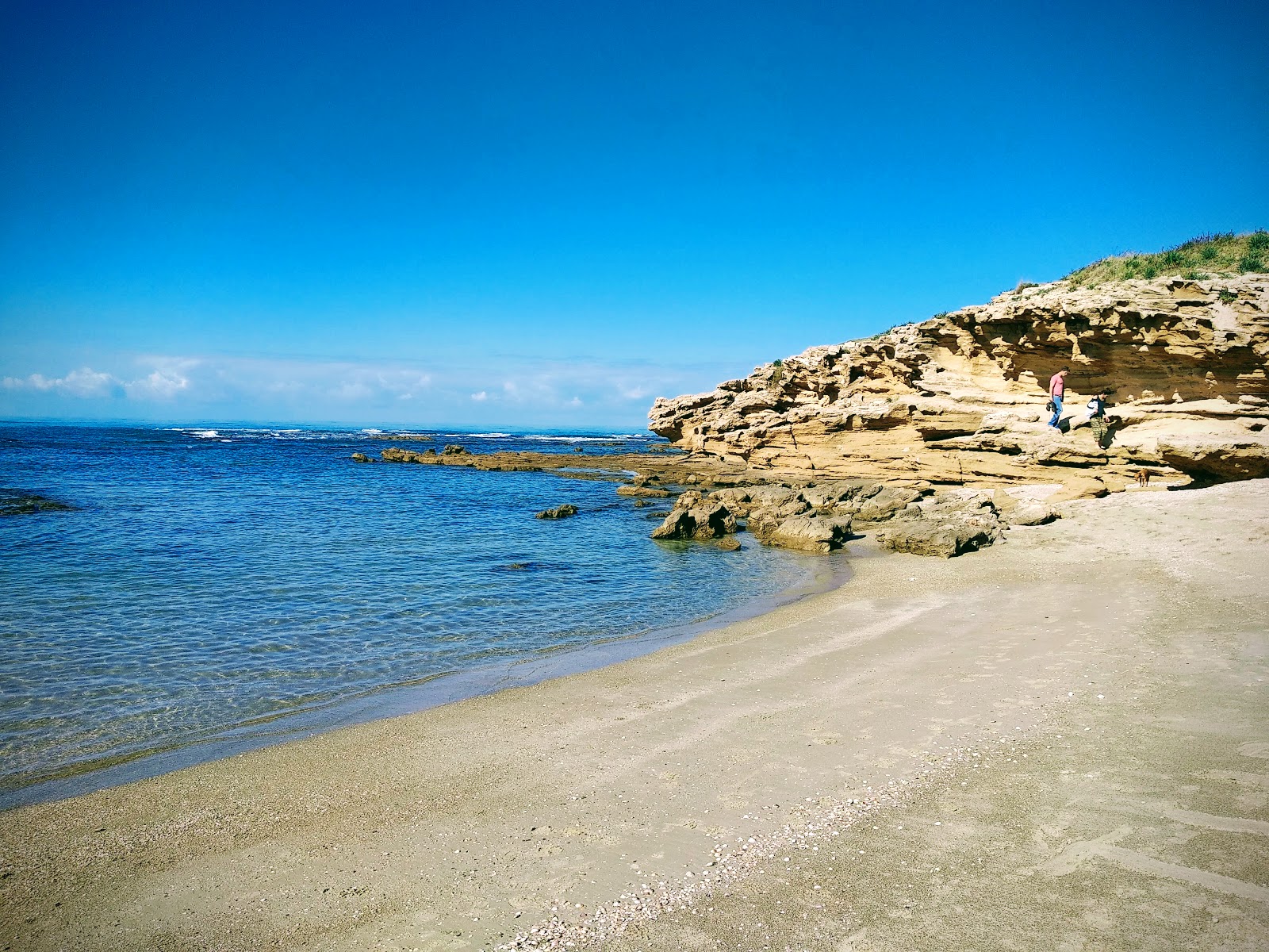Zdjęcie Musa fish beach z poziomem czystości głoska bezdźwięczna