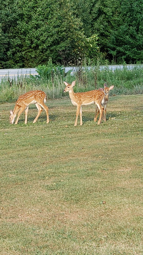 Golf Course «Lindsey Golf Course», reviews and photos, 4024 Bullion Blvd, Fort Knox, KY 40121, USA