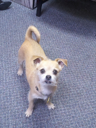 Criminal Justice Attorney «Michael E Cain Law Office», reviews and photos