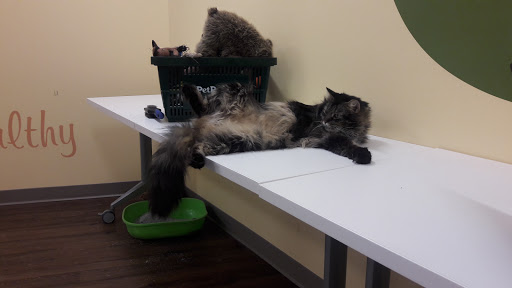 Pet Supply Store «PetPeople», reviews and photos, 3330 Washtenaw Ave, Ann Arbor, MI 48104, USA