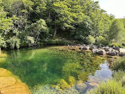Le Tarn à Pont-de-Montvert-Sud-Mont-Lozère