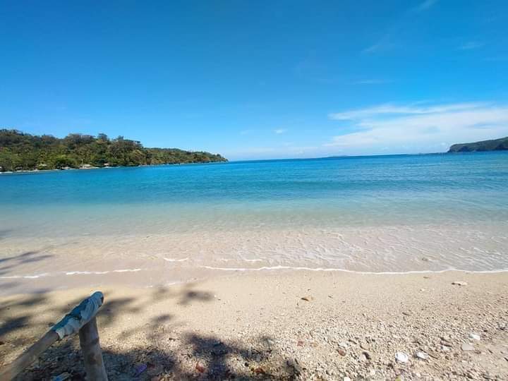 Foto av Balatasan Beach Resort bekvämlighetsområde
