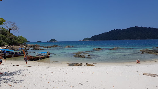 Plage Monkey