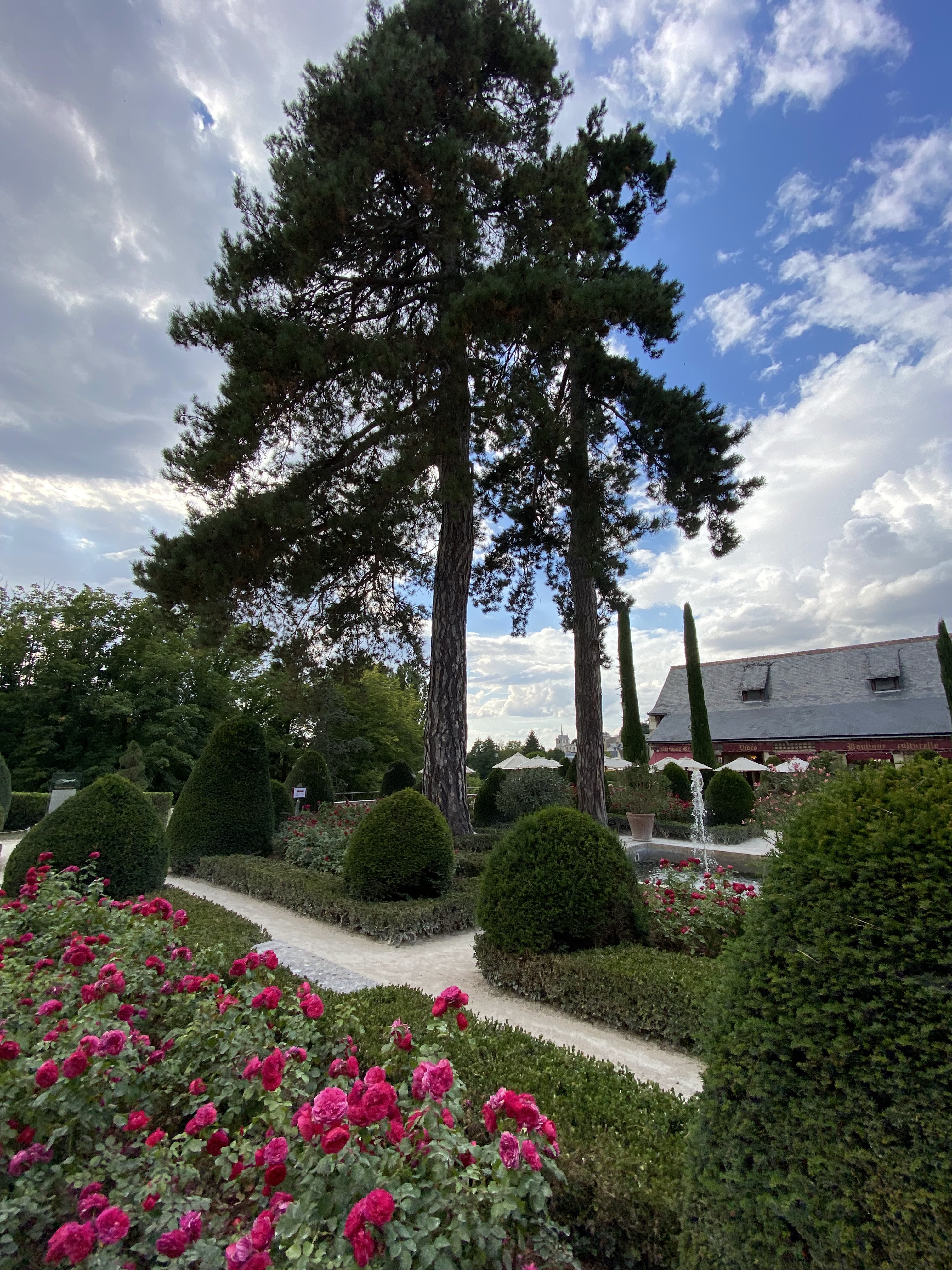 Photo n° 43 de l'avis de Daybreak. fait le 04/09/2021 à 09:27