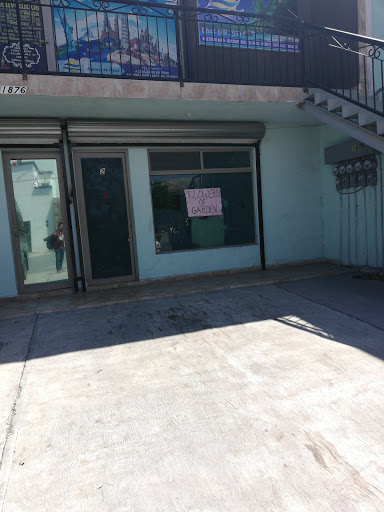 Flowers Of Garden Saltillo – Saltillo