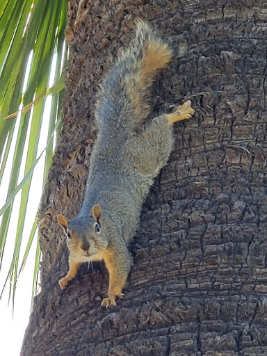 Locksmith «Lockworx Locksmith Services», reviews and photos, 9035 Sierra Ave, Fontana, CA 92335, USA