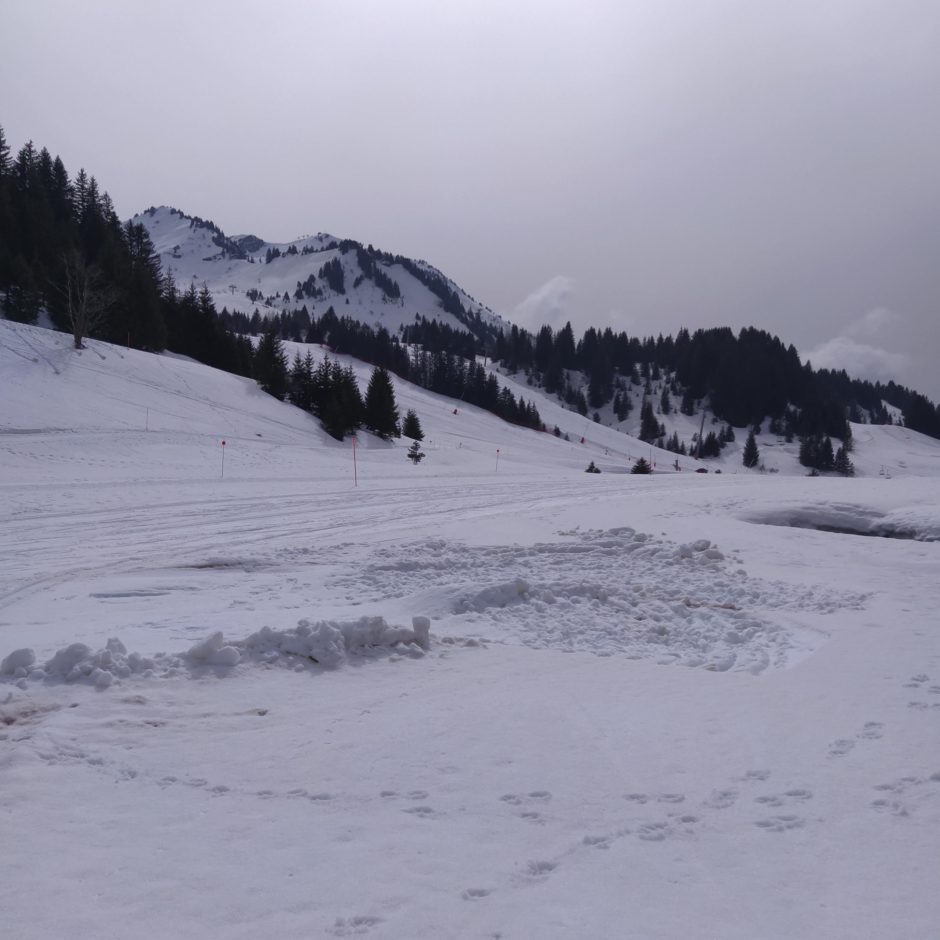 Photo n° 2 de l'avis de gindrey.a fait le 25/03/2022 à 18:22