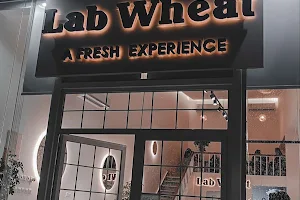 لاب ويت - lab wheat image