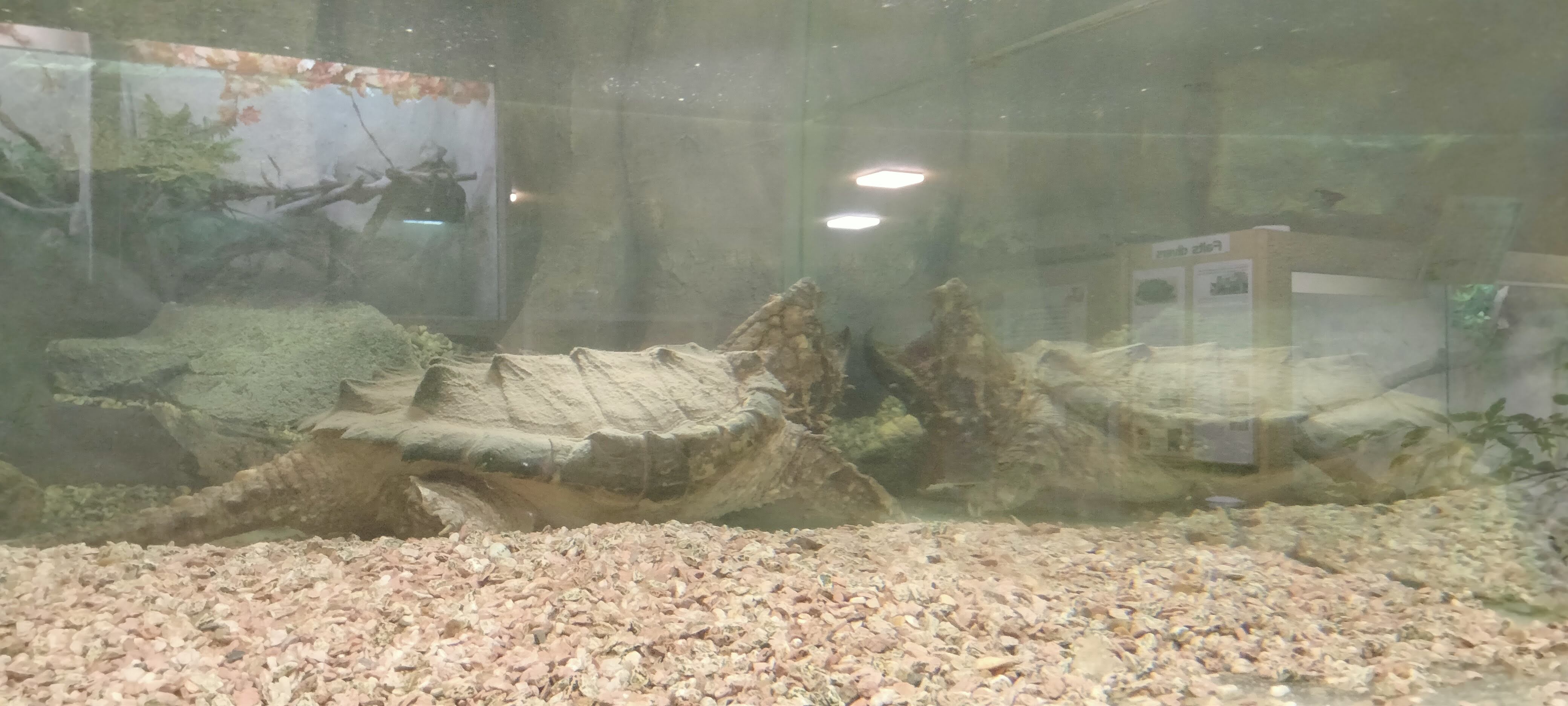 Photo n° 12 de l'avis de Dany.u fait le 19/03/2023 à 19:21