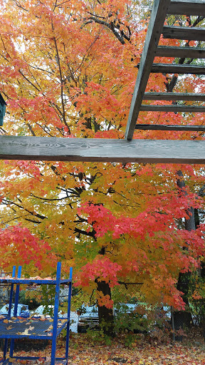 Garden Center «Delahunty Nurseries & Florist», reviews and photos, 41 Range Rd, Windham, NH 03087, USA