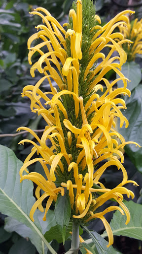 Garden «Bok Tower Gardens», reviews and photos, 1151 Tower Blvd, Lake Wales, FL 33853, USA