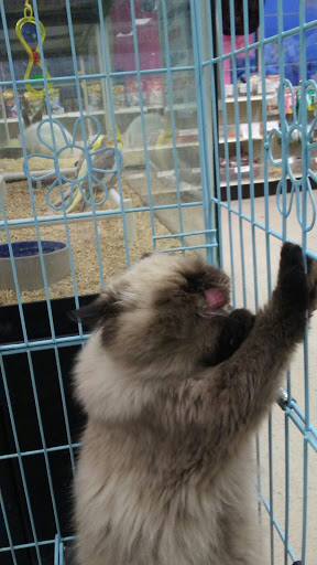 Pet Supply Store «Pet Palace Inc», reviews and photos, 253 Scranton Carbondale Hwy, Scranton, PA 18508, USA