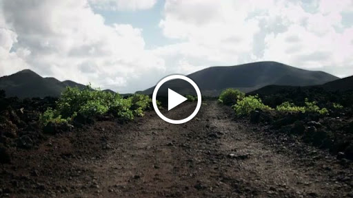 Winery «Wyldewood Cellars Winery», reviews and photos, 218 E Lincoln St, St Joseph, IL 61873, USA