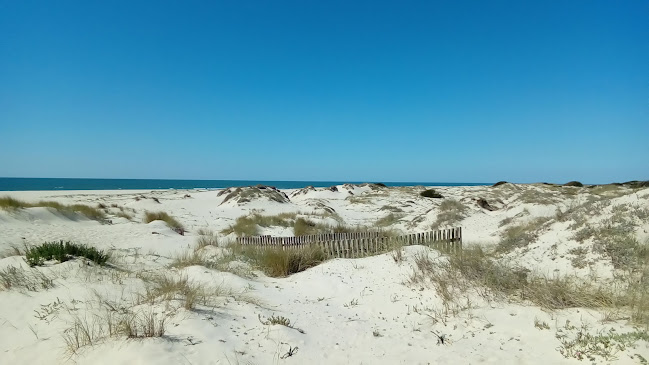 Avaliações doReserva Natural das Dunas de São Jacinto em Murtosa - Agência de viagens