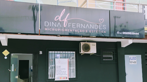 Logo da empresa - Dina Fernandes sobrancelhas