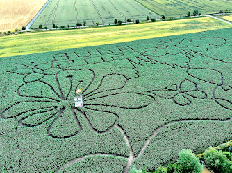 Maislabyrinth Erfurt