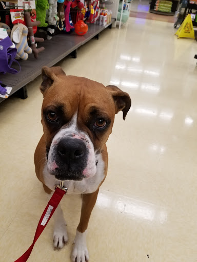 Pet Supply Store «Petco Animal Supplies», reviews and photos, 600 NE Vivion Rd, Kansas City, MO 64118, USA