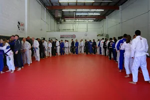 Fairfax Jiu Jitsu Academy image