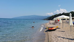 Papakosta beach'in fotoğrafı doğal alan içinde bulunmaktadır