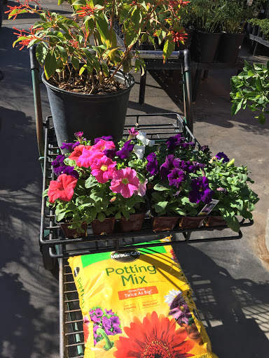 Hardware Store «Ace Hardware», reviews and photos, 21542 N John Wayne Pkwy, Maricopa, AZ 85139, USA