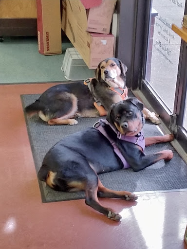 Outdoor Sports Store «Wild River Outfitters Inc», reviews and photos, 3636 Virginia Beach Blvd #108, Virginia Beach, VA 23452, USA