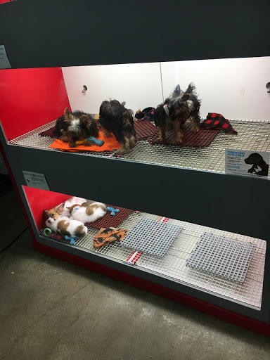 Pet Store «Pet City Houston», reviews and photos, 230 Bammel Westfield Rd, Houston, TX 77090, USA