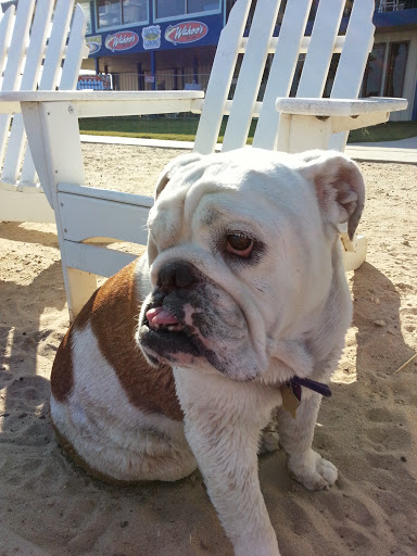 Skateboard Park «Texas Ski Ranch», reviews and photos, 6700 I-35, New Braunfels, TX 78130, USA