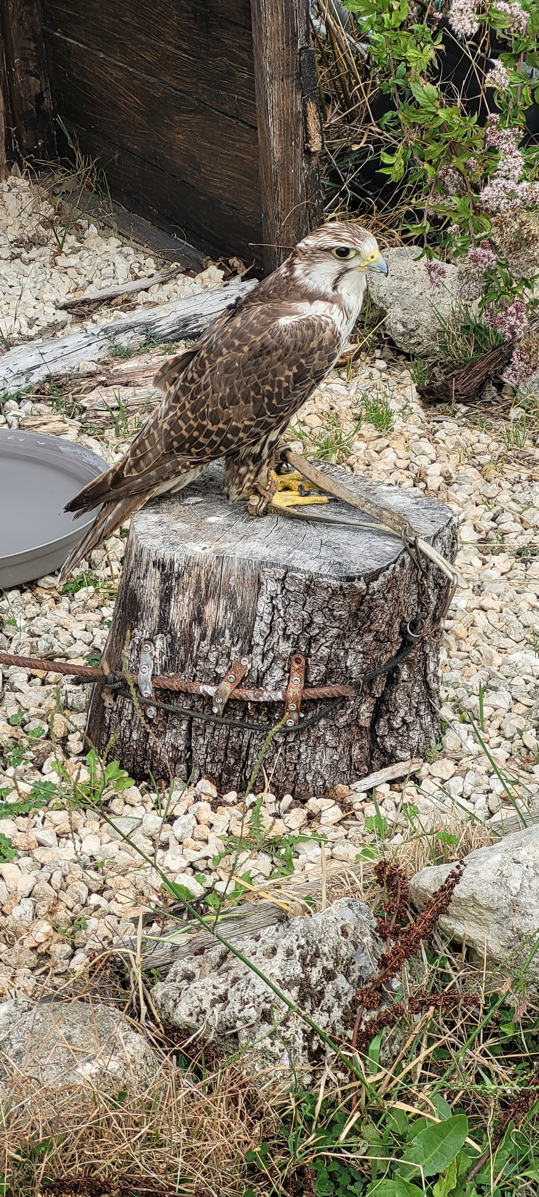 Photo n° 4 de l'avis de DM.o fait le 19/08/2023 à 08:17