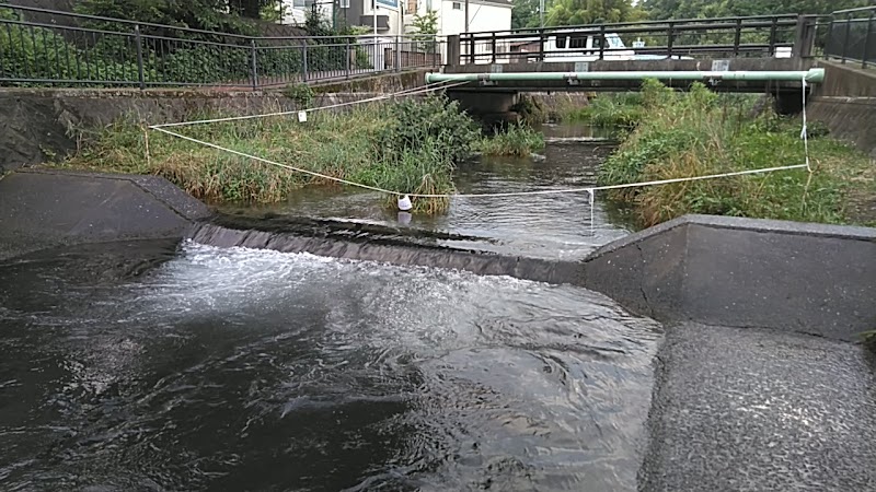 毘沙門橋(落合川)