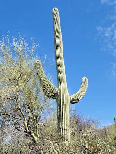 Pima Canyon Trailhead
