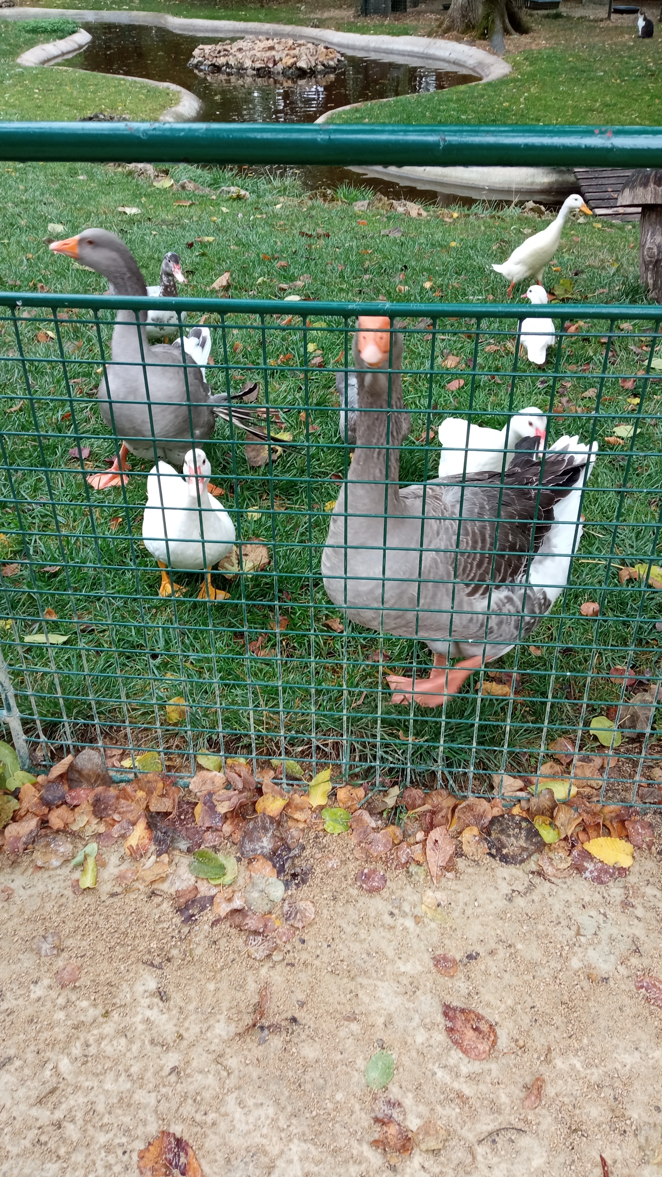Photo n° 1 de l'avis de Kristina.o fait le 03/10/2021 à 13:52