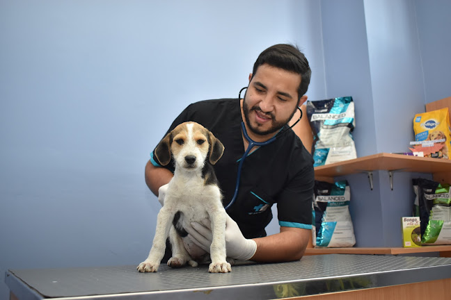 Opiniones de Clínica Veterinaria Vetcarecenter en Sangolqui - Veterinario