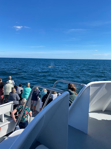 Whale Watching Tour Agency «Cape Ann Whale Watch», reviews and photos, 415 Main St, Gloucester, MA 01930, USA