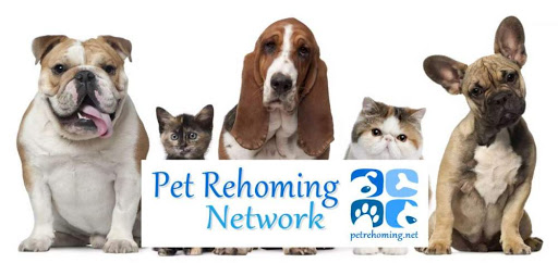 Calgary Pet Rehoming Services