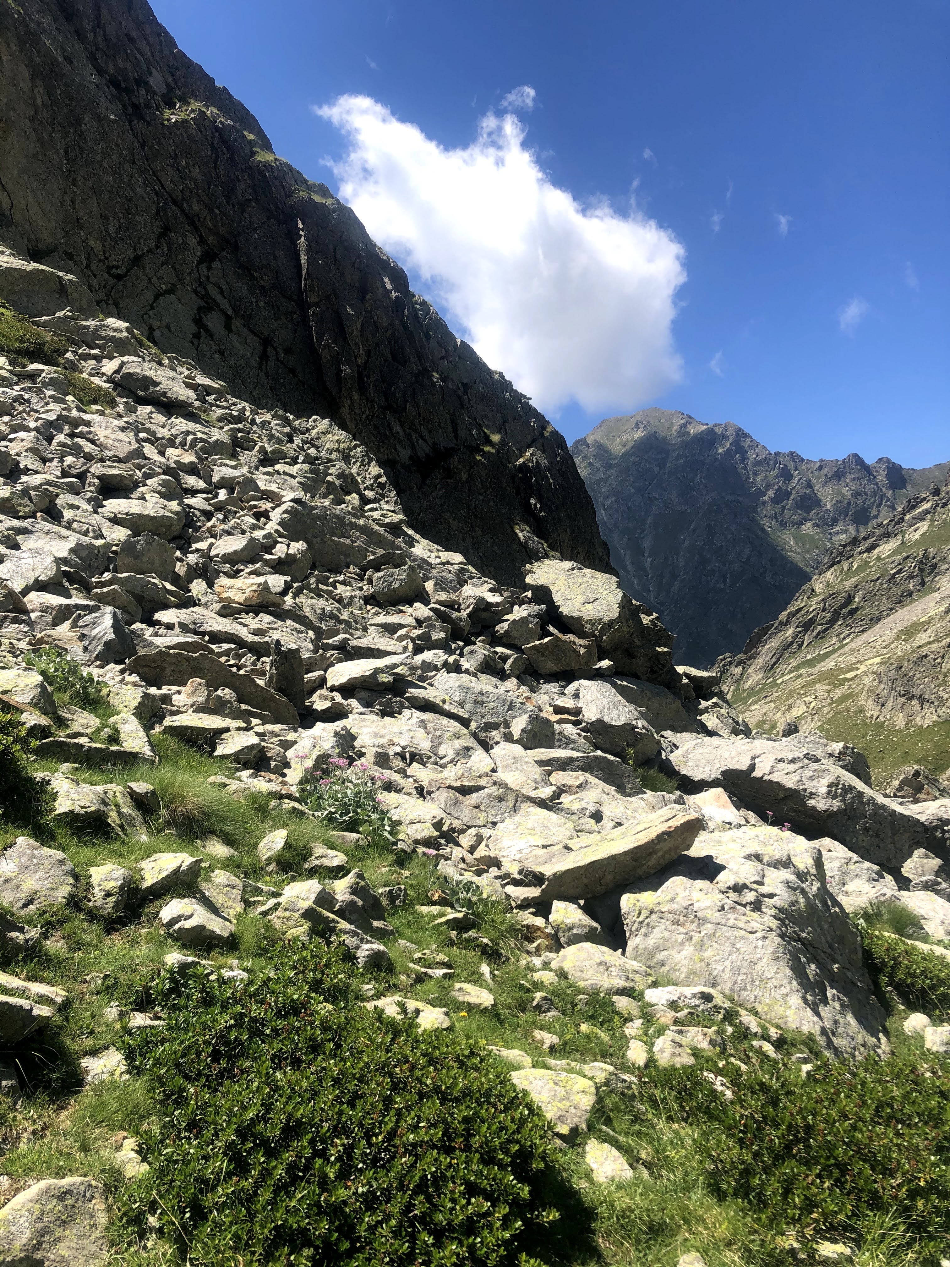 Photo n° 4 de l'avis de Virgile. fait le 28/07/2020 à 18:10