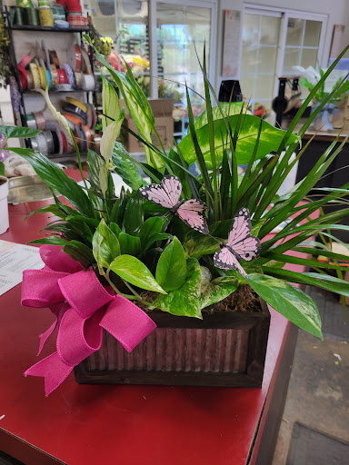 Florist «Sherwood Florist & Gift Shoppe», reviews and photos, 10239 Fair Oaks Blvd #A, Fair Oaks, CA 95628, USA