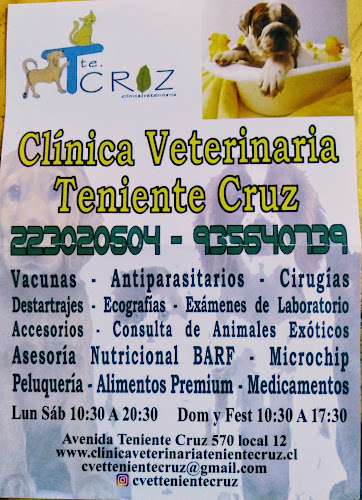 Opiniones de Clínica Veterinaria Teniente Cruz en Pudahuel - Veterinario
