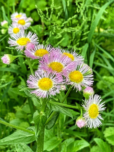 Park «Harrods Creek Park», reviews and photos, 6530 Montero Dr, Prospect, KY 40059, USA