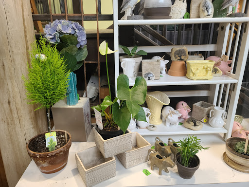 Garden Center «Victoria Gardens», reviews and photos, 1 Cottekill Rd, Rosendale, NY 12472, USA