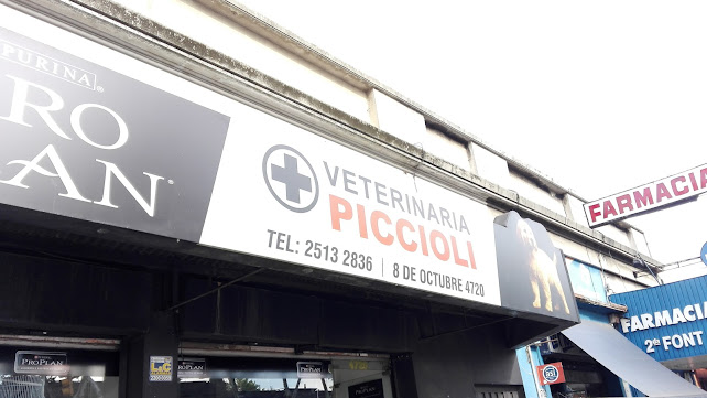 Opiniones de Veterinaria Piccioli en Cardona - Veterinario