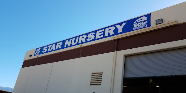Star Nursery Rock Center