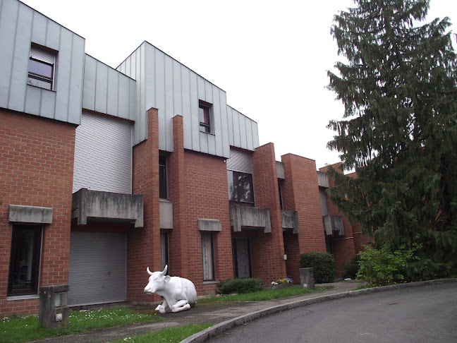 Rezensionen über Foyer l'Escale (FOJ) in Lancy - Verband