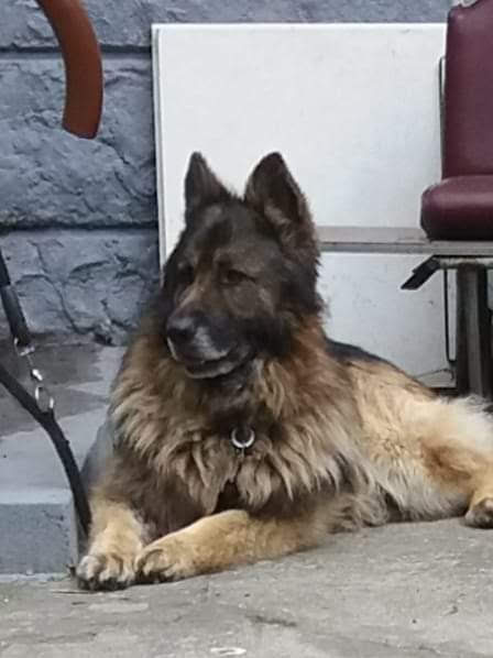 Photo n° 1 de l'avis de ryszard.a fait le 09/01/2020 à 09:08