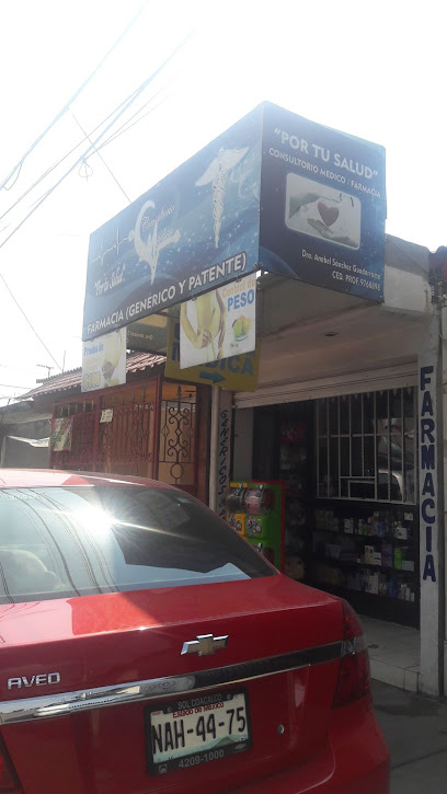 Farmacia Y Consultorio Por Tu Salud, , San Pablo De Las Salinas