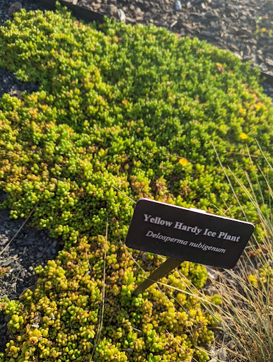 Botanical Garden «Conservation Garden Park», reviews and photos, 8275 1300 W, West Jordan, UT 84088, USA