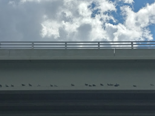 Bait Shop «Angler 360 Bait Tackle and Apparel Co. Belleair Causeway», reviews and photos, 3900 W Bay Dr, Belleair Bluffs, FL 33770, USA