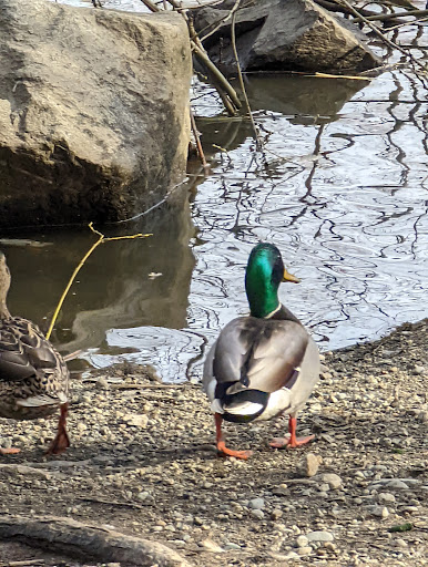 Park «Fort Dent Park», reviews and photos, 6800 Fort Dent Way, Tukwila, WA 98188, USA