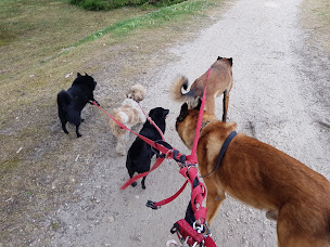 Photo n°94 de Camping des Étangs à Aubigny-sur-Nère ()